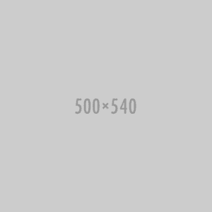 500x540