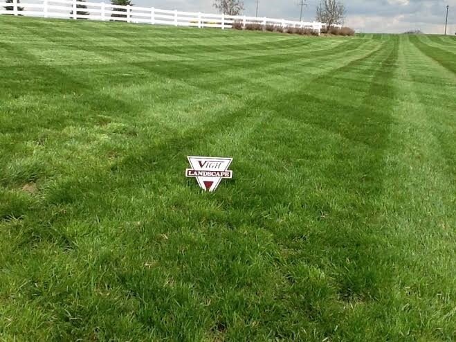 A lush green field with a professional striped pattern showcases the high-quality results of expert lawn care and turf management.