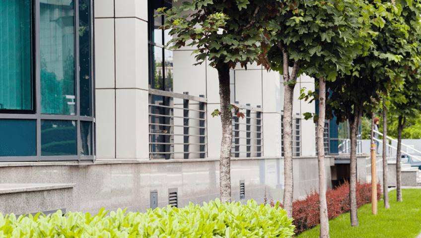 Commercial Landscape