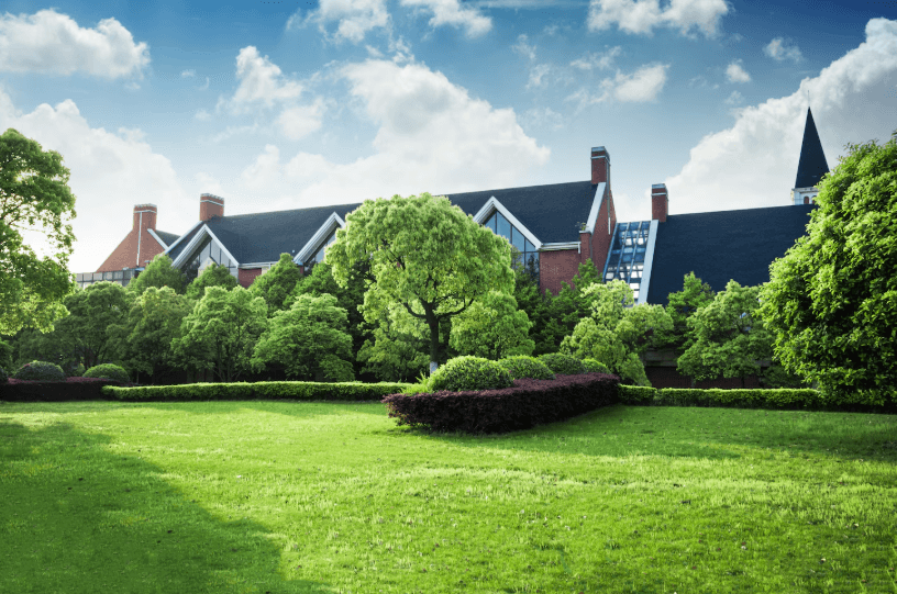 A vast, sunlit green lawn sits in front of a row of manicured trees and a large brick building, highlighting the results of professional landscape services.