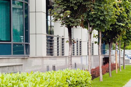 Lush green hedges and a row of neatly trimmed trees create a professional landscape alongside a modern office building with large windows.