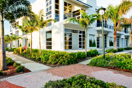 A modern white commercial building is enhanced by a tropical landscape featuring palm trees and well-maintained brick pathways.